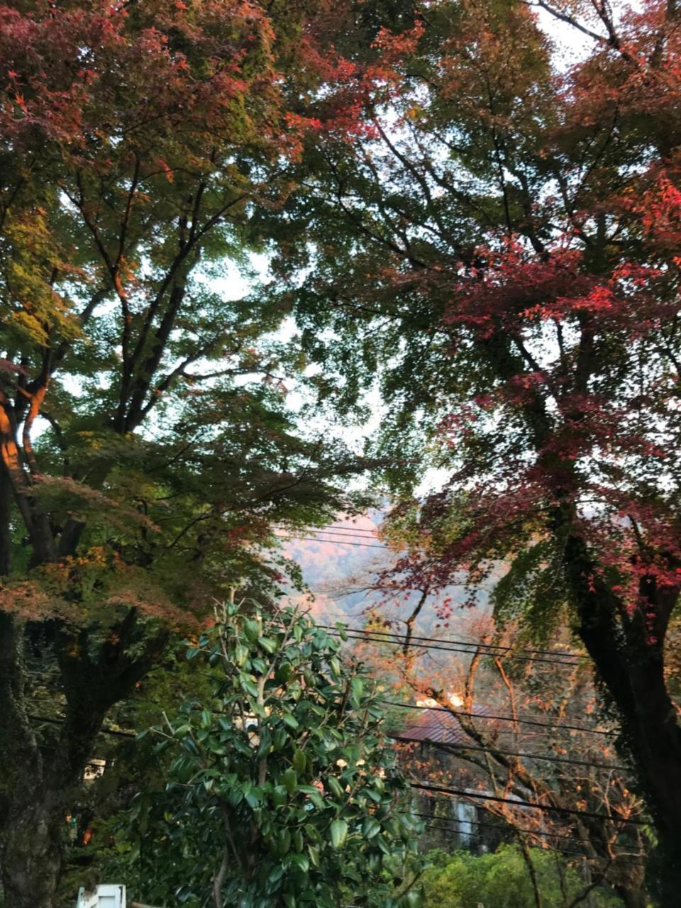 Umimoto Hotel Hakone Exterior foto